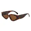 Gafas de sol Cat-Eye Europeas y Americanas Transfronterizas Bloque de Color Moda Versátiles Simples para Mujer Gafas con Protección UV