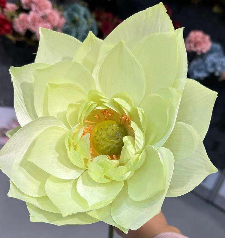 单支吉祥荷花-浅绿.jpg
