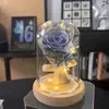 Ornamento de Cúpula de Vidro Iluminada com LED de Gipsofila Eterna, Hortênsia, Rosa, Presente de Dia dos Namorados Aniversário, Buquê de Flores Eternas