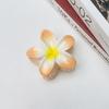 Horquilla para el pelo con diseño de tiburón y flor Zijin con degradado de Bauhinia transfronterizo, accesorio para el cabello con pinza para el pelo, estilo europeo y americano