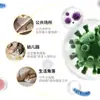 Gel Antibacterial Espumoso Velox 225ml Antibacterial 99.9% Fragancia Cuidado Saludable Limpieza Esterilización Niños Familia