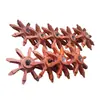 Conjunto de Piñón de Acero Inoxidable Industrial, Piezas para Maquinaria Minera, Piñón Raspador de Transportador