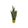 Orquídea Tigre de Phnom Penh Simulada Personalizada Planta Tropical Escandinava Planta Suculenta de Agave Bonsái Planta Verde Simulada Venta al por Mayor