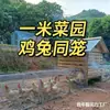 Túnel para gallinero exterior para familias rurales, Corredor de acceso directo para criar pollos, Túnel para gallinero de uso doméstico