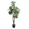 Venta al por mayor de fábrica árbol de la fortuna de simulación árbol falso planta de simulación planta verde de sentido avanzado decoración de hogar hotel flores artificiales