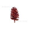 Suministros navideños Material de manualidades Pinus tabulaeformis Pino local Pino americano Piña natural Fruto seco Piña grande
