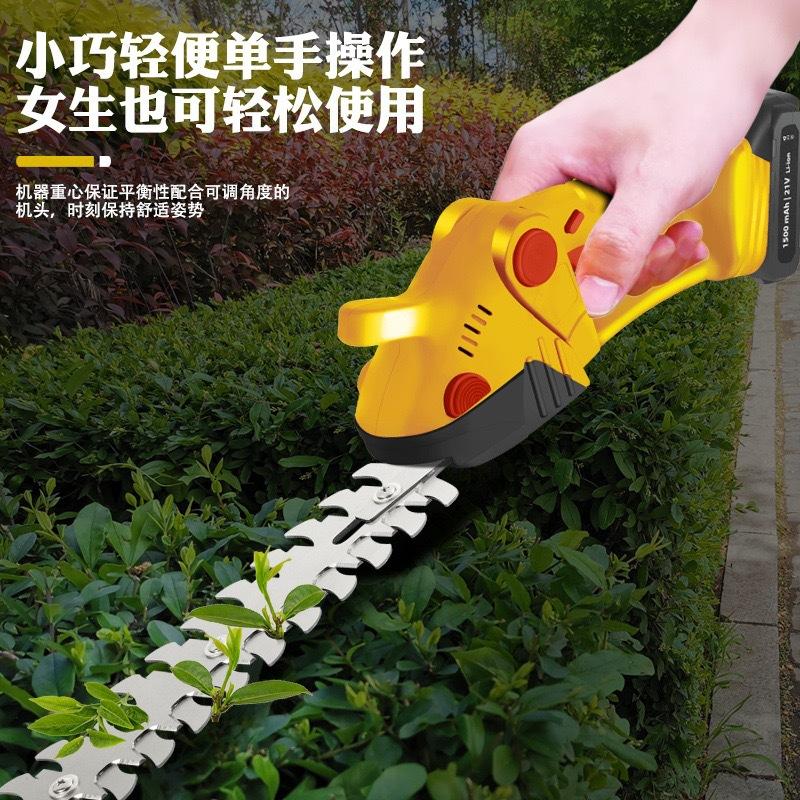 微信图片_2025-04-25_170003_104.jpg