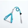 Coleira de estimação colorida e da moda com pompom, guia para passear com cachorro, coleira peitoral para gato, guia para passear com gato, atacado de fabricante de coleira para gato