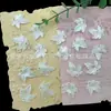 Pétalos de Perla Imitación ABS Hoja Pasador para el Cabello DIY Accesorios para el Cabello Decoración de Escenario Manualidades Flor Artificial Colgante de Hoja de Arce