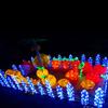 Lâmpada LED para exteriores, animais, plantas, morango, formato de fruta, lâmpada LED com padrão, lâmpada acrílica epóxi