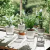 Maceta Automática de Riego Propio, Contenedor Hidropónico Transparente, Maceta de Plástico para Plantas, Jarrón de Vidrio para Plantas Verdes