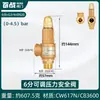Calentador de Agua Eléctrico Haier Midea Tubería de Agua Válvula de Alivio de Presión Automática Válvula de Seguridad Caldera Tanque de Gas Compresor de Aire Vapor de Escape