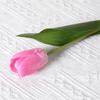 Flor artificial de tulipán con tacto hidratante, flor artificial de alta gama, flor de seda, adornos para decoración del hogar y hoteles, venta al por mayor