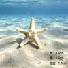 Decoração de Aquário Micro-Paisagismo DIY Resina Artesanal Estrela-do-Mar e Cavalo-Marinho Pingentes Ornamentos Pendurados Perfurados Acessórios Temáticos Oceano