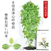 Planta verde artificial, hojas verdes falsas, decoración de orquídea colgante, enredadera de pared, cesta colgante de plástico para interior, enredadera de flores artificiales para colgar en la pared