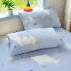 Modelo Nuevo Primavera/Verano 2026 Funda de Almohada Individual Estampada de Algodón Puro Amigable con la Piel con Chorro de Arena (Reseñas de compradores disponibles, Tasa de encogimiento reservada)