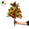 Flores Artificiales Simuladas y Plantas Verdes, Árboles de Ciprés Pequeños, Bonsáis de Ciprés Simulados, Boj, Lavanda, Flores Falsas, Árboles Falsos, Variedades Populares de Pino y Ciprés