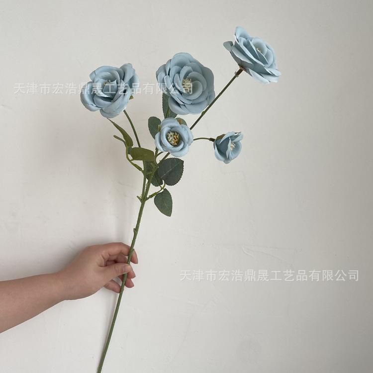 微信图片_202204111604485_副本