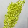 Hojas Ricas al por Mayor, Flores Inmortales, Flores Secas, Arreglos de Boda, Decoración del Hogar, Arreglos Florales, Paquetes de Materiales Florales para DIY, Flores Inmortales Transfronterizas