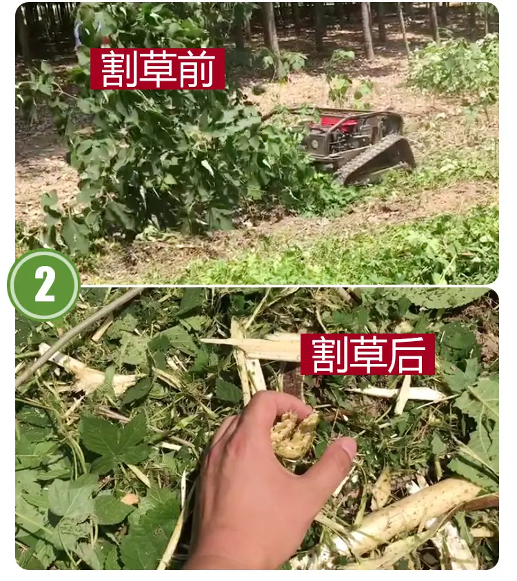 黑狮800详情页_05