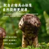 Salsa de Vinagre Blanco Matsutake sin Aditivos, Aderezo para Platos Fríos, Cero Grasa, Salsa de Soja Especial para Pescado y Camarones al Vapor, Tienda Oficial Principal
