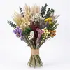Ramo de Flores Secas, Hierba de la Pampa Más Vendida de Amazon, Juncia, Gypsophila, Flores Secas Serie Rosa, Regalo para el Día de San Valentín Chino y Navidad