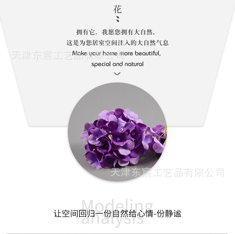 详情_03.jpg