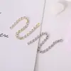 Novos Brincos de Corrente com Garra de Pedra Brilhante, Pérola e Strass para Montagem DIY, Brincos com Acessórios de Franja Longa, Fio de Orelha Personalizado Versátil