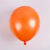 Venta al por mayor transfronteriza 10 pulgadas Engrosados Perlados de Látex Globos Decorativos Globos de Látex Set de Globos para Boda Fiesta de Cumpleaños