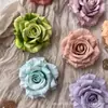 Hermosa cabeza de flor de rosa de lana multicolor de alta calidad sin deformación, pared de flores de boda, flor de simulación de color especial para primavera y otoño