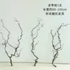 Dátiles de Dragón Secos, Ramas, Troncos de Árbol para Decoración, Garras de Dragón Curvas, Ramas Secas para Arreglos Florales, Arte Wabi-Sabi, Flores Secas Estilo Zen Secadas al Aire