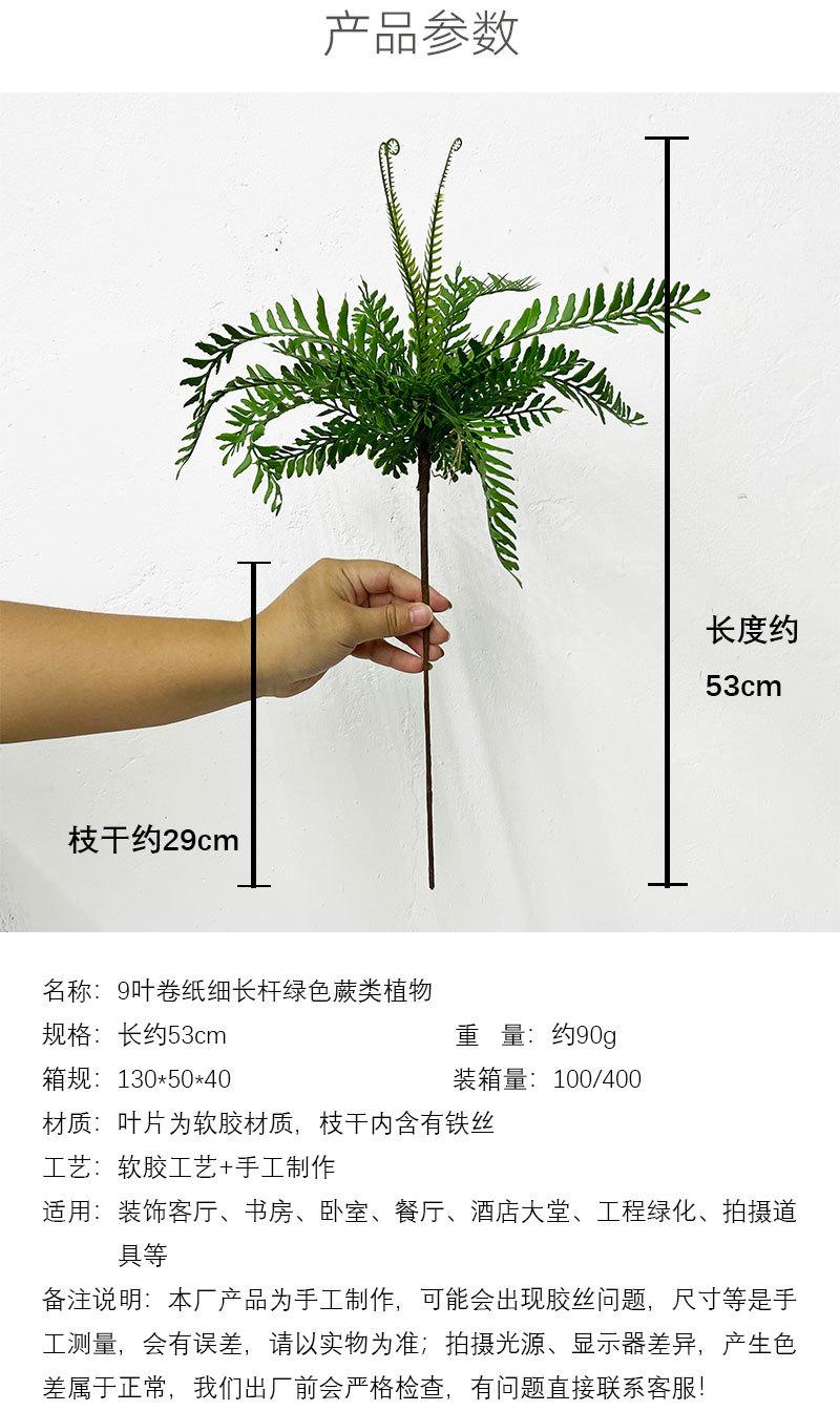 9片卷纸细长杆绿色详情页_02