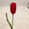 Buquê Feito à Mão Tulipa Fechada Acabamento Tecido Flor de Lã Crochê Tricô Flor Artificial Flor Tecida de Tulipa