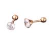 Pendientes femeninos de acero y titanio con circonitas en oro rosa, moda coreana, venta al por mayor, AliExpress, eBay, pendientes sencillos de tendencia.