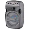 Modelo Especial de Fábrica Woofer Individual de 6.5 pulgadas, Ligero y Conveniente para Transportar, Audio Plástico Activo Bluetooth con Luz