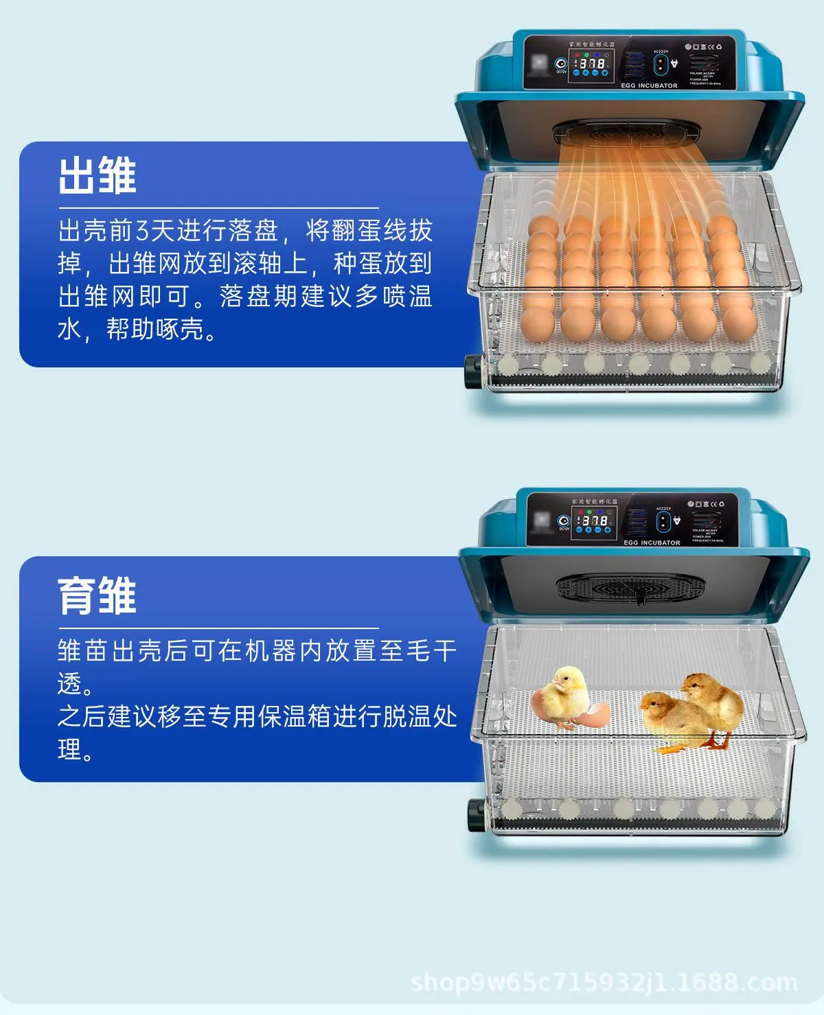 详情图片_11.jpeg