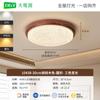 Lámpara de Techo para Dormitorio Estilo Chino Retro Francés Espectro Completo Protección Ocular Dormitorio Principal Elegante Lujo Estudio Restaurante Lámpara 125L