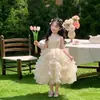 Vestidos Infantis, Luxo Leve, Nicho, Alto Padrão, Vestidos Deslumbrantes, Adequados para Crianças Apresentarem Performances de Piano, Vestidos de Princesa Simples e Elegantes