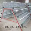 Gaiola de Armazenamento de Ovos Gaiola de Fazenda para Galinhas Poedeiras Gaiola de Frango Escada Equipamento de Avicultura Conjunto Completo de Gaiola Portátil para Galinhas Poedeiras