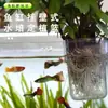 Tanque de Peces Montado en la Pared, Taza para Plantar Plantas Acuáticas, Cesta de Cultivo Hidropónico Transparente, Cesta Colgante Especial para Decoración de Paisajismo con Plantas Verdes para Acuario