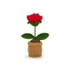 Adornos de Tarjetas Inspiradoras Emocionales de Lana Tejidos a Mano Suculentos de Energía Positiva Maceta de Venta Caliente Transfronteriza Adornos de Cactus