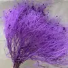 Ins Fresco Celebridad de Internet Ramo de Flores Flor Eterna Hierba de Ensueño Rosa Gracilaria Adornos Decoración de Sala de Estar Muebles para el Hogar