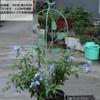 Pérgola Trepadora de Hojas de Vid al Estilo Europeo con Pájaro Soporte para Flores de Hierro Viejo Retro Balcón Clematis Flor de Nieve Azul Soporte para Rosas