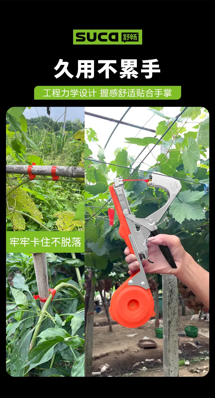 8105红透_04.jpg