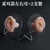 Modelo de ouvido silicone características faciais realistas material didático modelo display aparelho auditivo artificial orelha de prática limpeza de ouvido ensino adulto