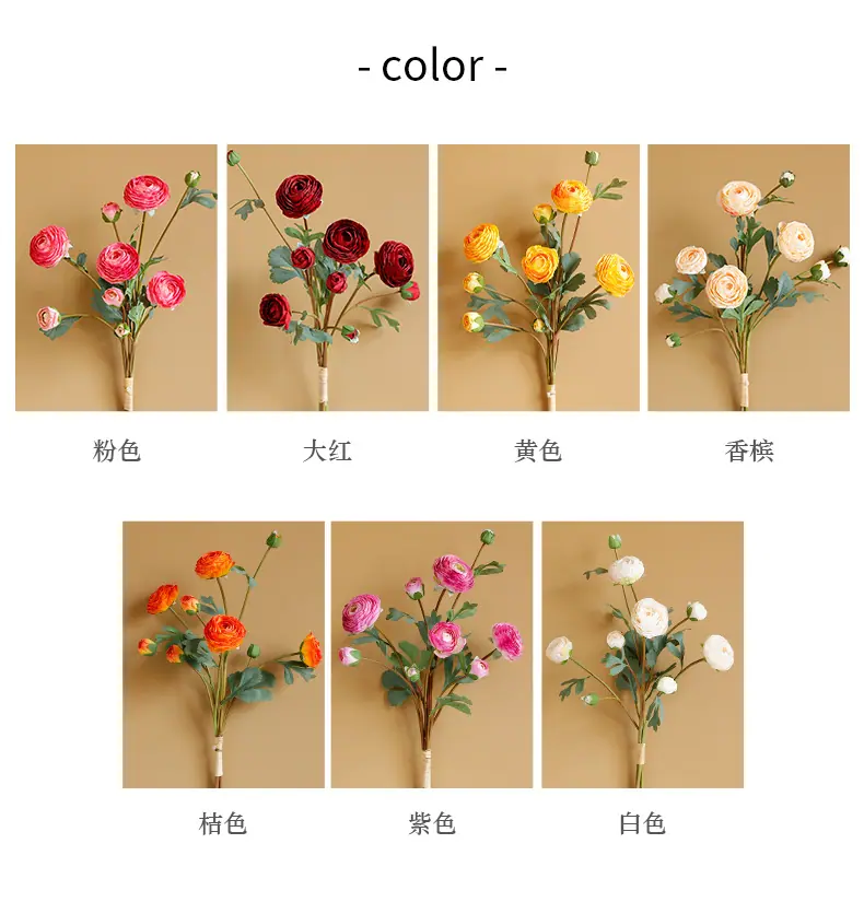 希德洋牡丹_05.jpg