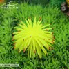 Decoración para Acuario Paisajismo de Acuario Plantas Acuáticas Simuladas Erizo de Mar Coral Simulados Peces Ornamentales Coral Acuario Pequeño