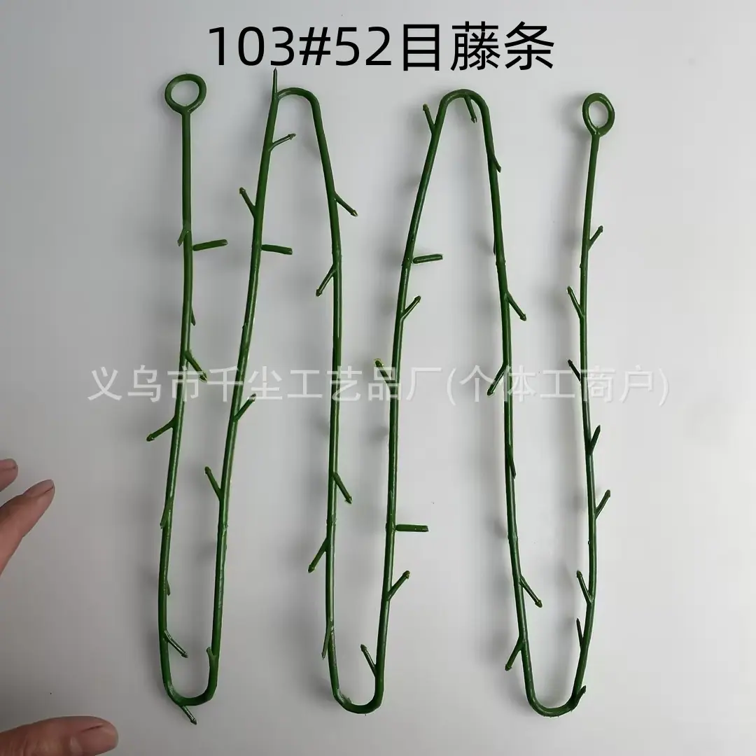 103#52目藤条.jpg