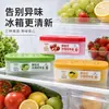 Caja Desodorante Colgante para Refrigerador Purificante y Conservante Artefacto Eliminador de Olores Desodorante para Refrigerador Desodorante para el Hogar Eliminador de Olores