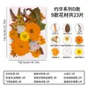 Kit de material DIY com flores secas, espécimes de plantas com flores reais prensadas, pintura de decoração para porta-retratos, um presente de aniversário para amigos e melhores amigas